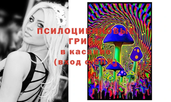ECSTASY Заволжье