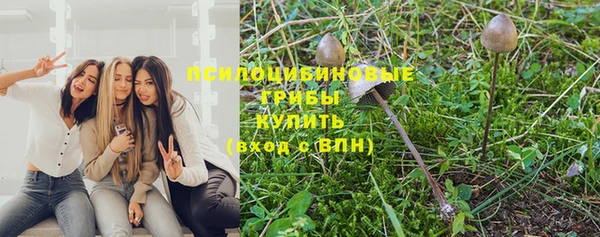 наркотики Заводоуковск