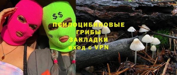 дживик Заволжск