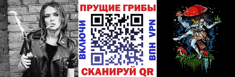 Галлюциногенные грибы ЛСД  Купить закладки  Шилка 
